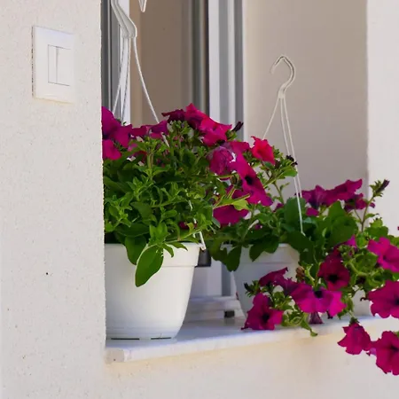 Dario بيت ضيافة