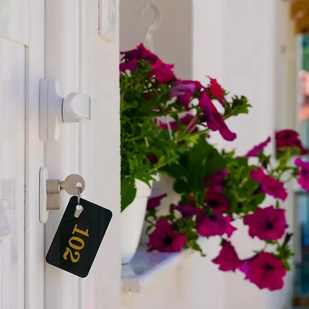 بيت ضيافة Dario 3*