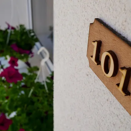 Dario Konukevi Berat