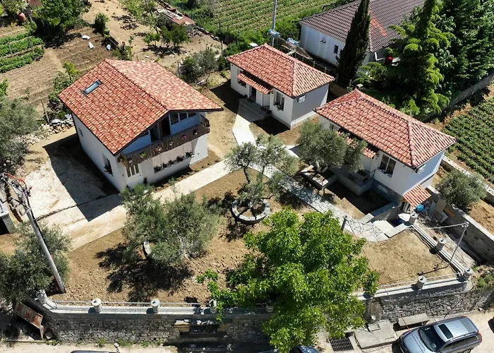 Dario Casa de hóspedes