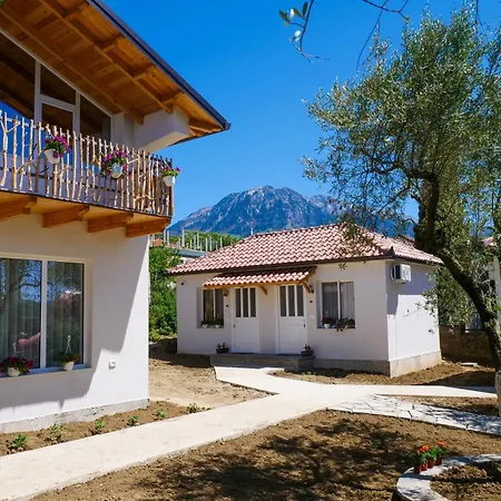 Dario 3* Berat